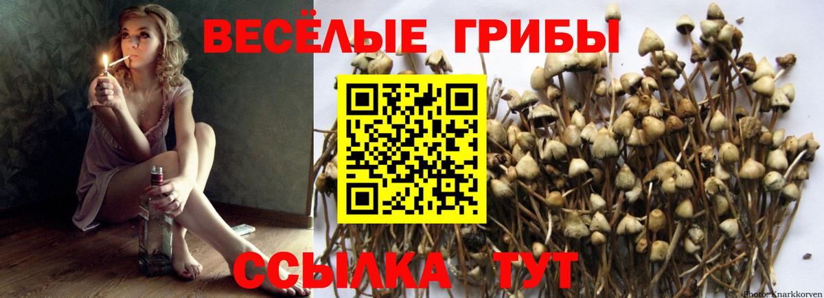 Галлюциногенные грибы Cubensis Новоалтайск