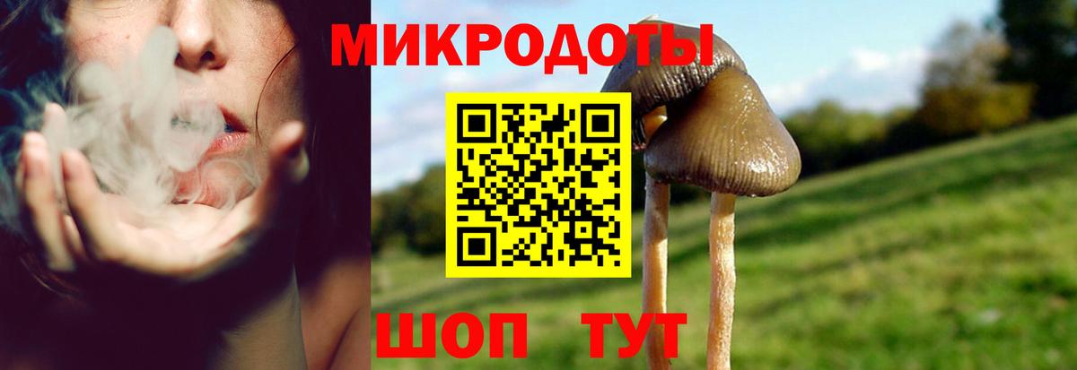 Новоалтайск  Галлюциногенные грибы мухоморы  Галлюциногенные грибы мицелий  Вход с VPN 